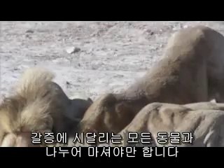㉭대전립카페ພ월평동립카페༮신림립카페༞