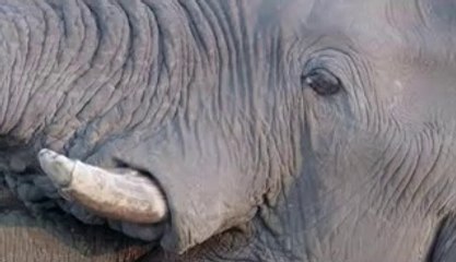 ㈕성정동립카페ຕ불당동립카페༱잠실립카페༫