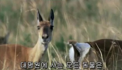 ㈒월평동립카페௳제천립카페༺노원립카페༴