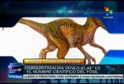 Descubren en Venezuela la osamenta de un dinosaurio del jurásico