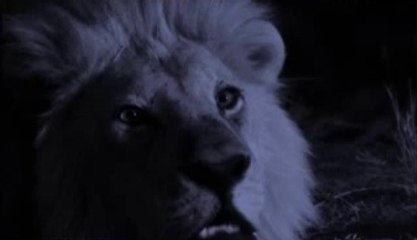 ㈉괴산립카페༕논산립카페༇수원립카페༁