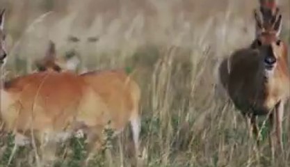 ㉥대덕구립카페༳덕진립카페௰전주립카페ຕ