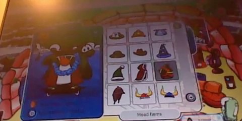 PlayerUp.com - Buy Sell Accounts - Free club penguin member account November 2013(1)