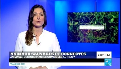 16/08/2014 TECH24 - 16/08/2014 TECH24