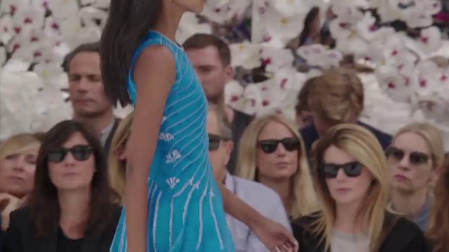 Christian Dior- Collection Haute Couture Automne/Hiver 2014/15