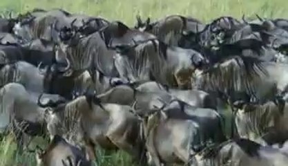 ㉲중랑립카페༞북인천립카페ຜ수원립카페༊