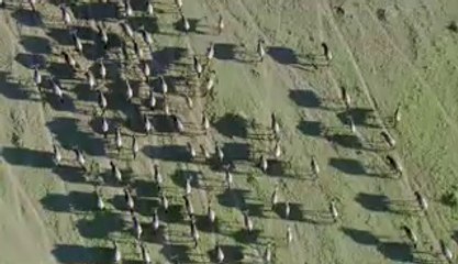 ㉹반포립카페༰동청주립카페ຊ강서립카페ພ