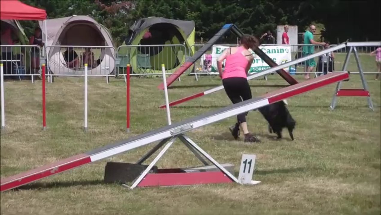 Darius Les Sorinières 07-2014