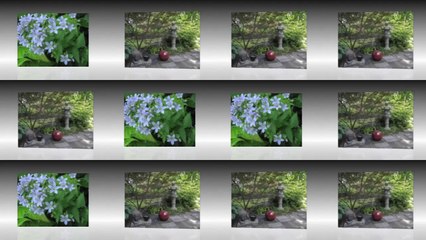 Jardins de Bellevue et Jardin de Valérianes