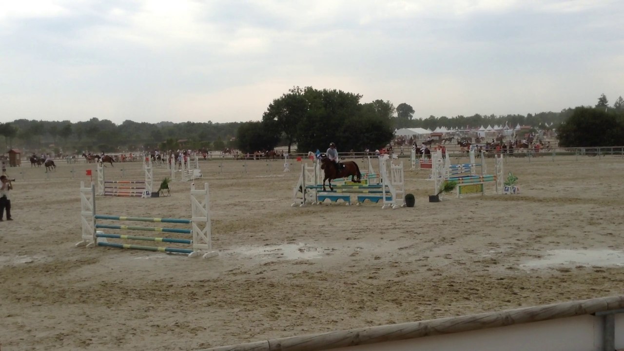 Blacky - Championnat de France - CSO Club 2 Espoirs (Jeunes Chevaux)