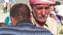 Irak: desplazados yazidíes cruzan la frontera con Siria