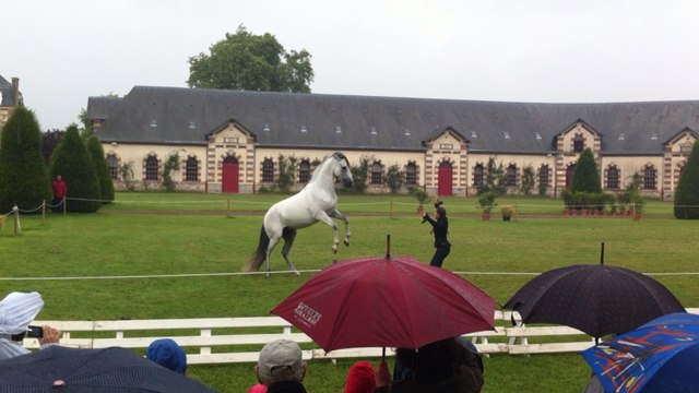 Les jeudis du Haras